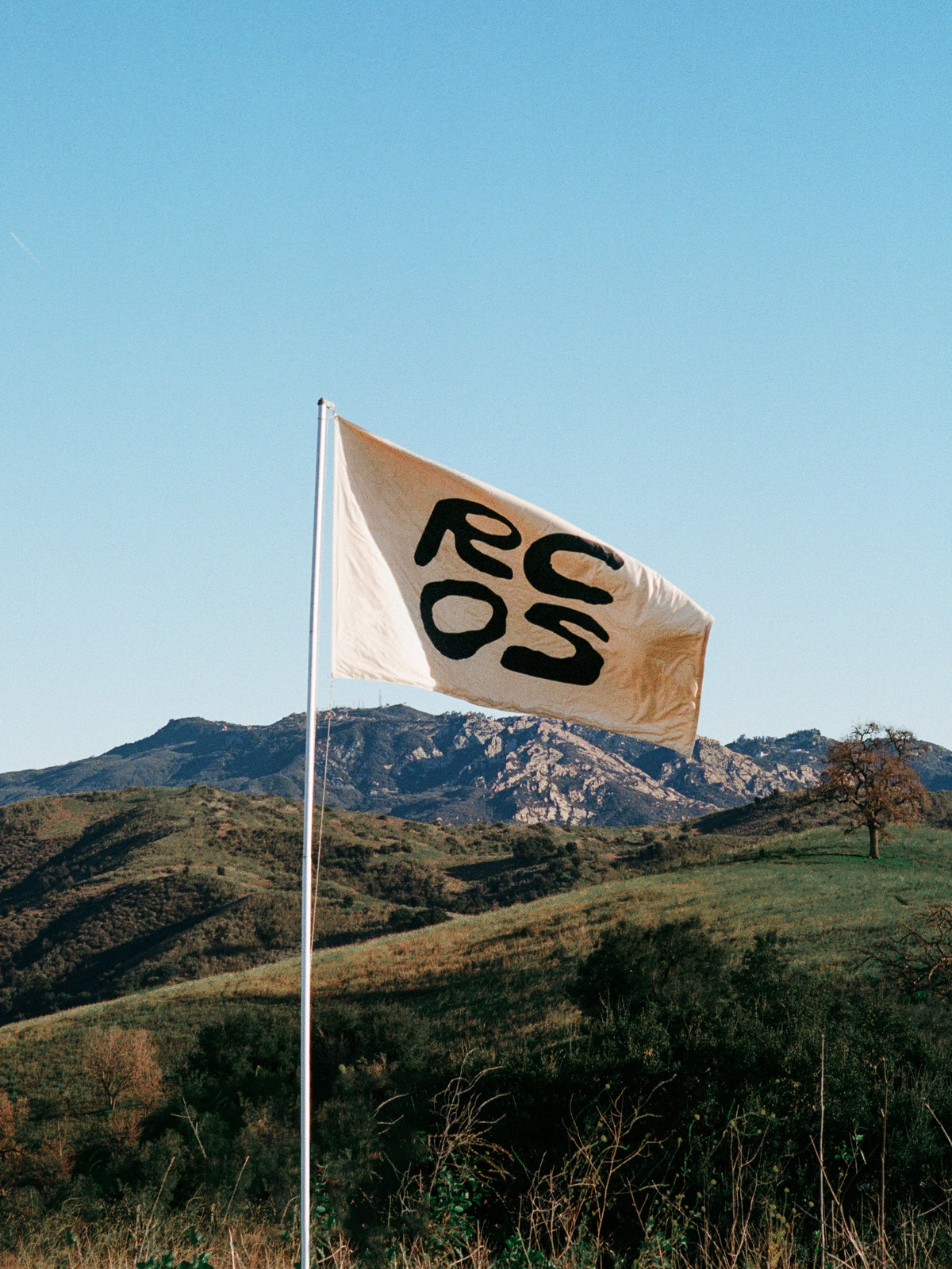 RCOS 1 Year Anniversary