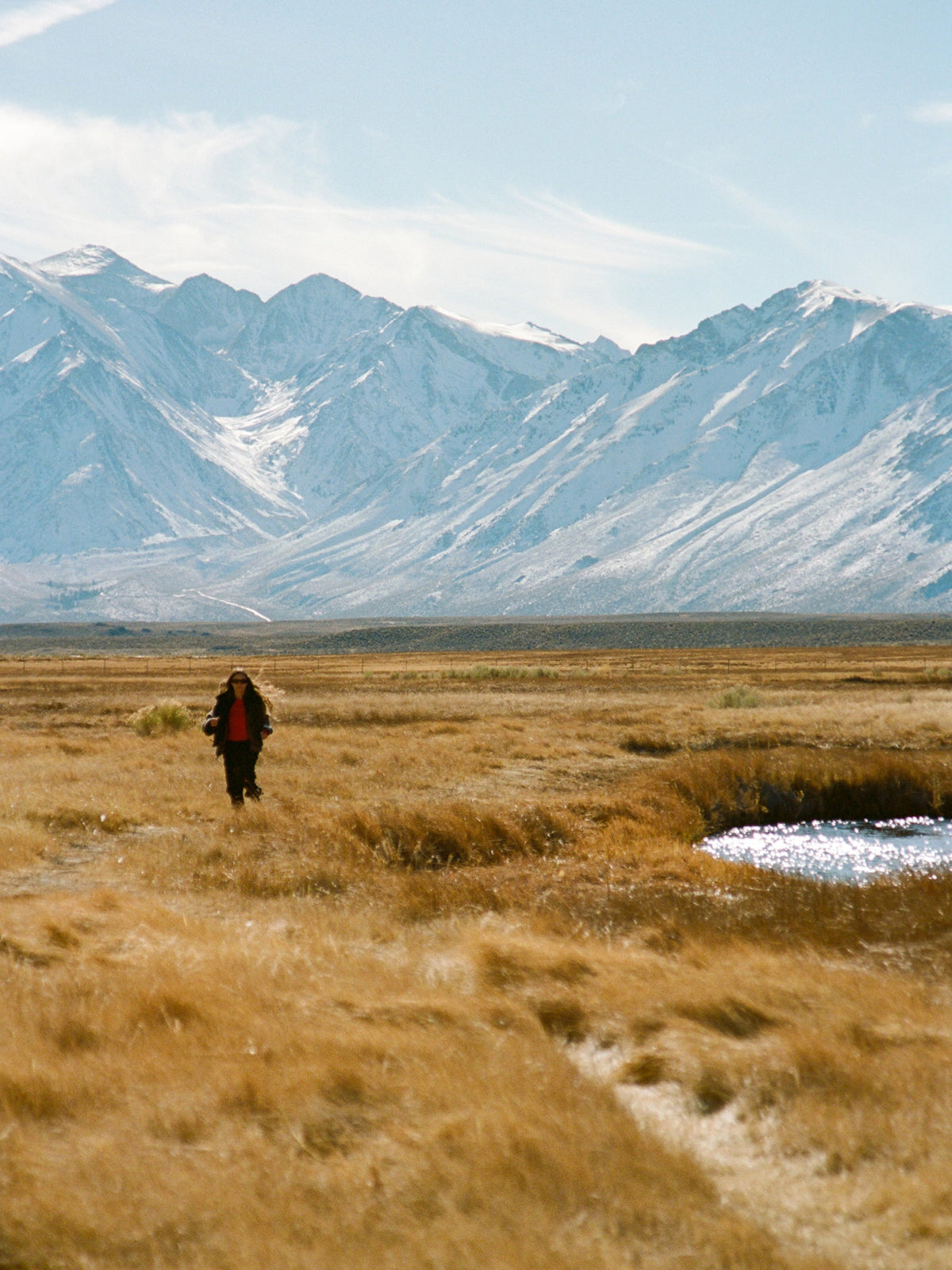 RCOS Winter Capsule Editorial