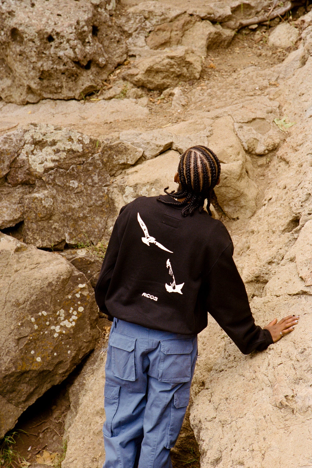 Birds Crewneck in Black
